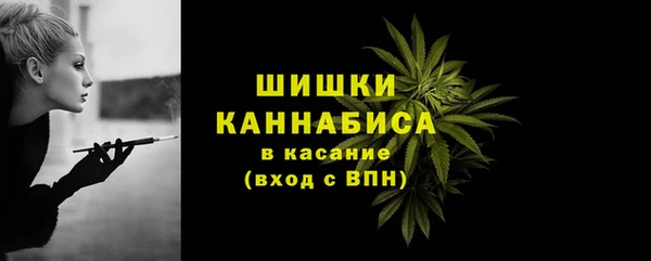 прущий лед Богданович